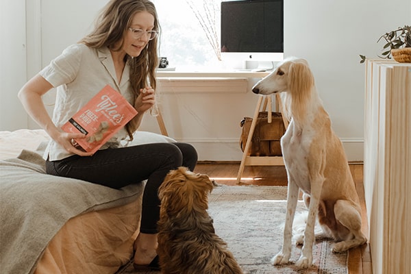 Visitas Veterinarias