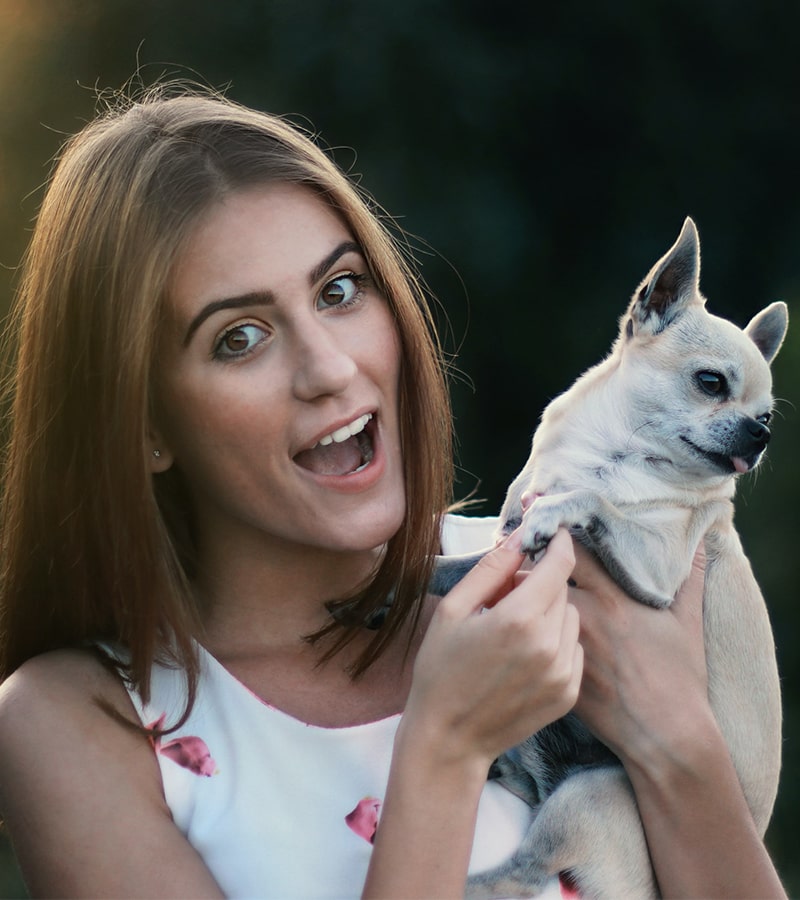 NOVAPET Cuidado de Mascotas